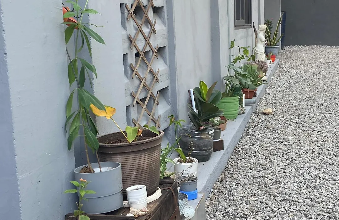 Bruks Guest House-1
