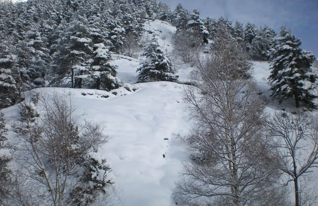 Hotel Montane-1
