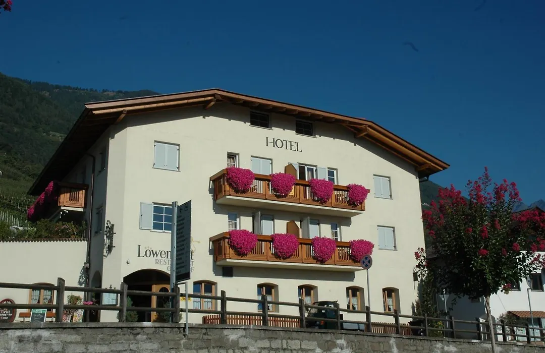 Hotel Löwenwirt-1