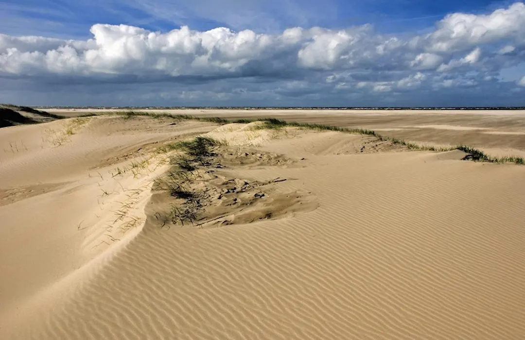 Ara Dune Hotel-1