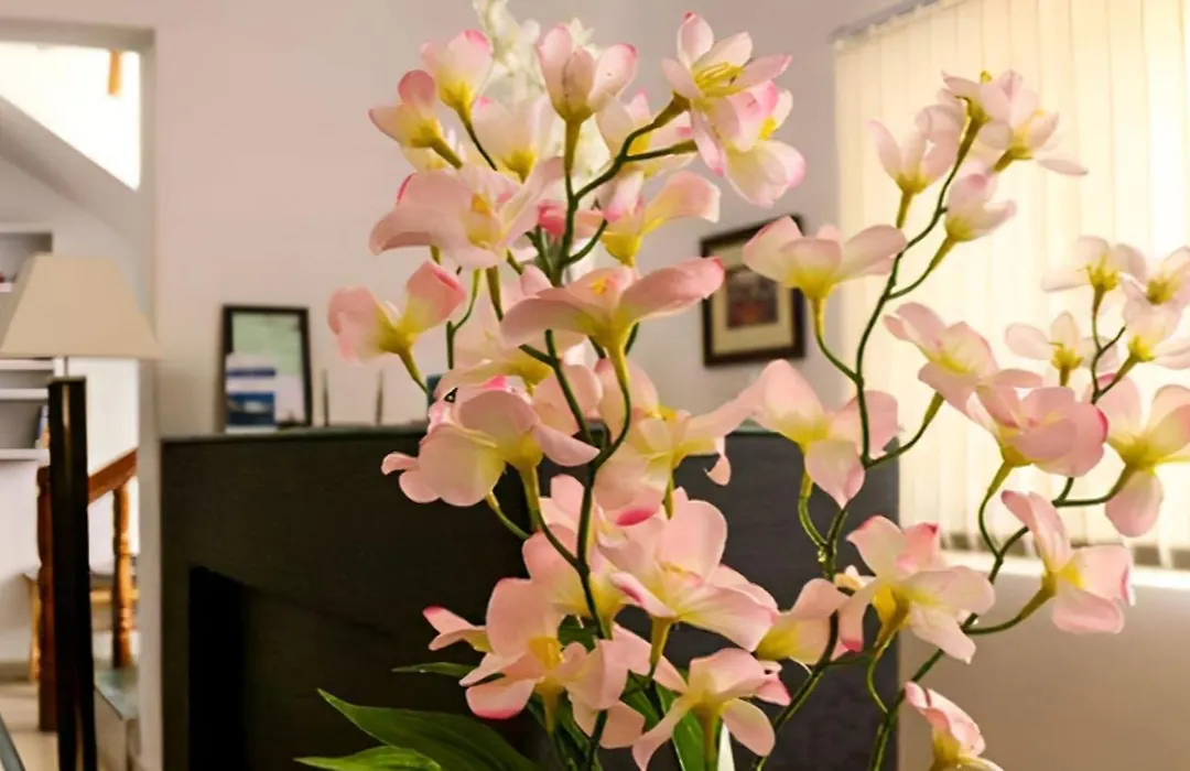 Gomang Boutique Hotel-1