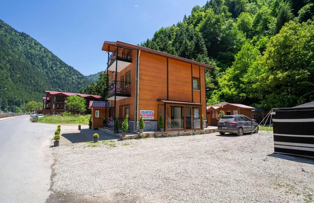 Aydın Apart Motel-1