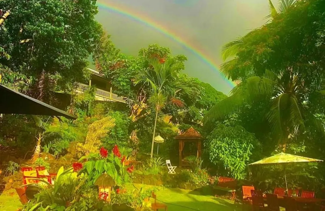 Kona Surf Ohana-1