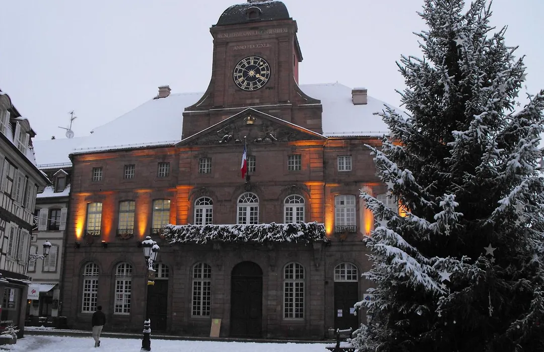 Hotel D'Alsace-1
