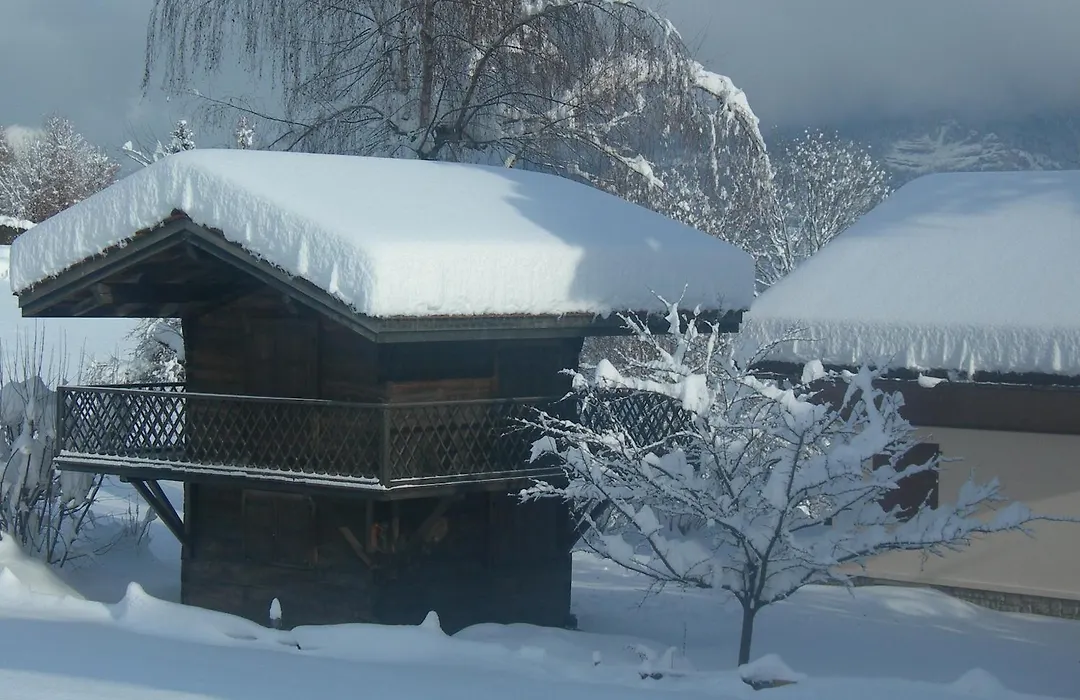 Le Cordonant-1