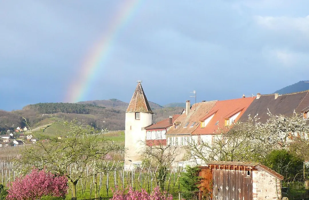 Hotel Munsch Restaurant & Wellness, Colmar Nord - Haut-Koenigsbourg-1
