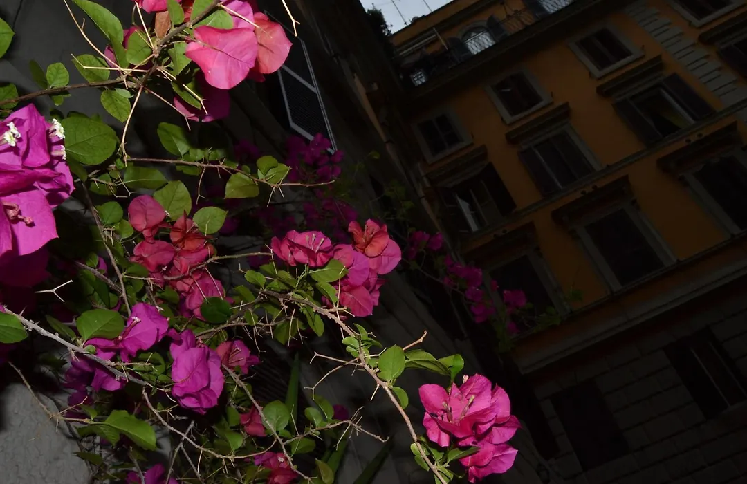 Bye Rome Guesthouse-1