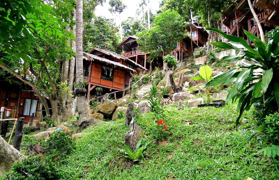 Phi Phi Green Hill Resort-1