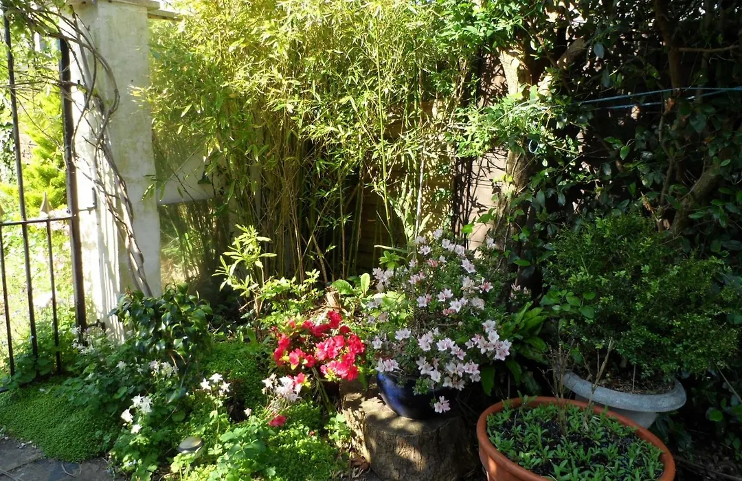 Galway Guest House-1