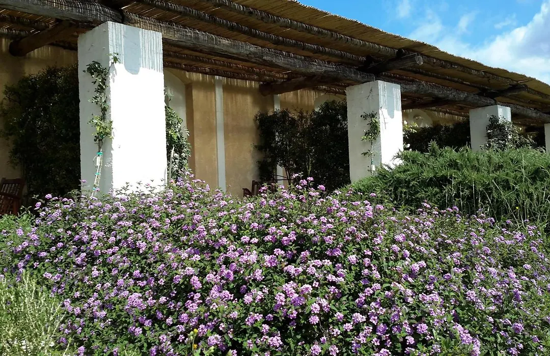 Masseria L'Antico Frantoio-1