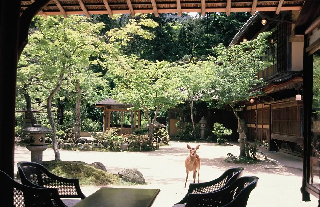Iwaso-1