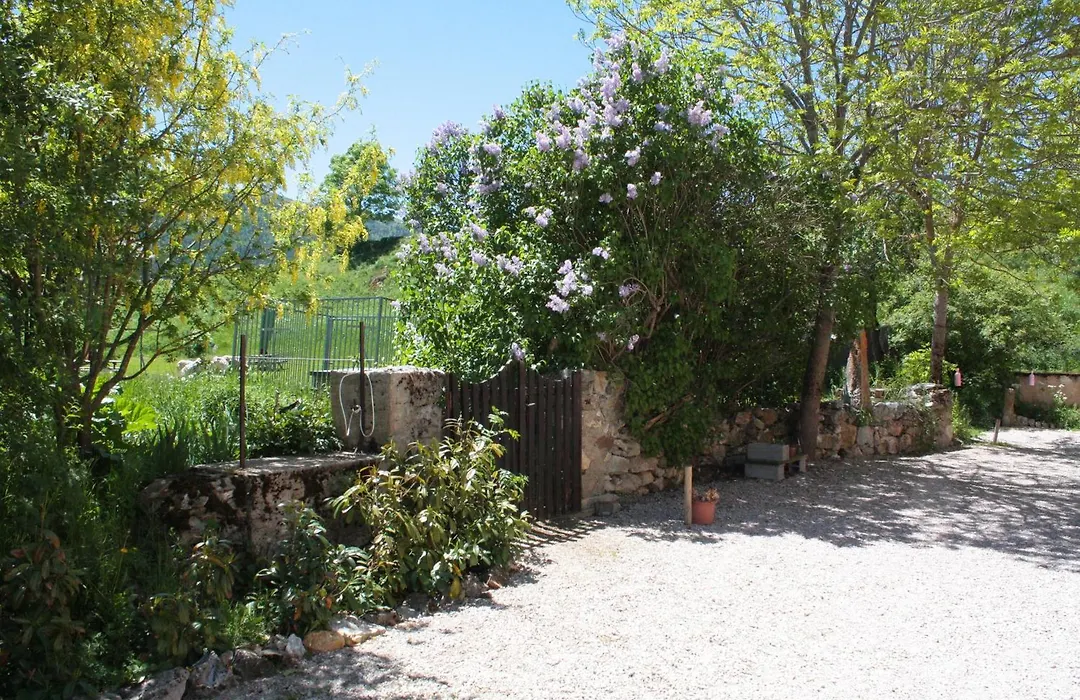 Chateau De Camurac-1