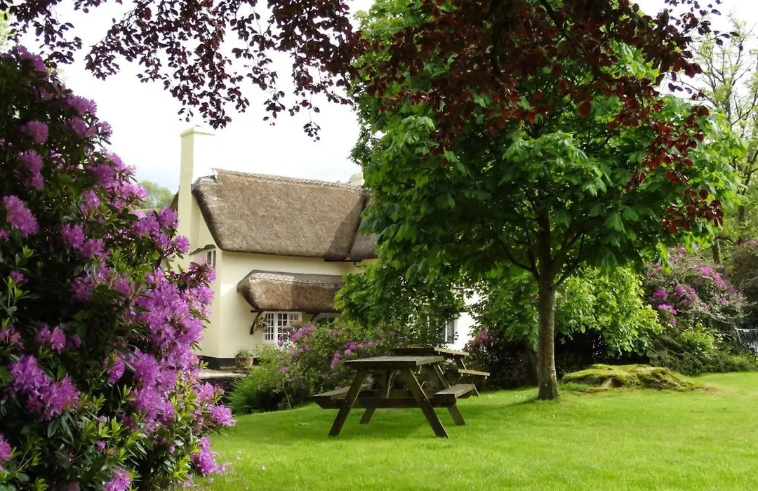 The Royal Oak Exmoor-1