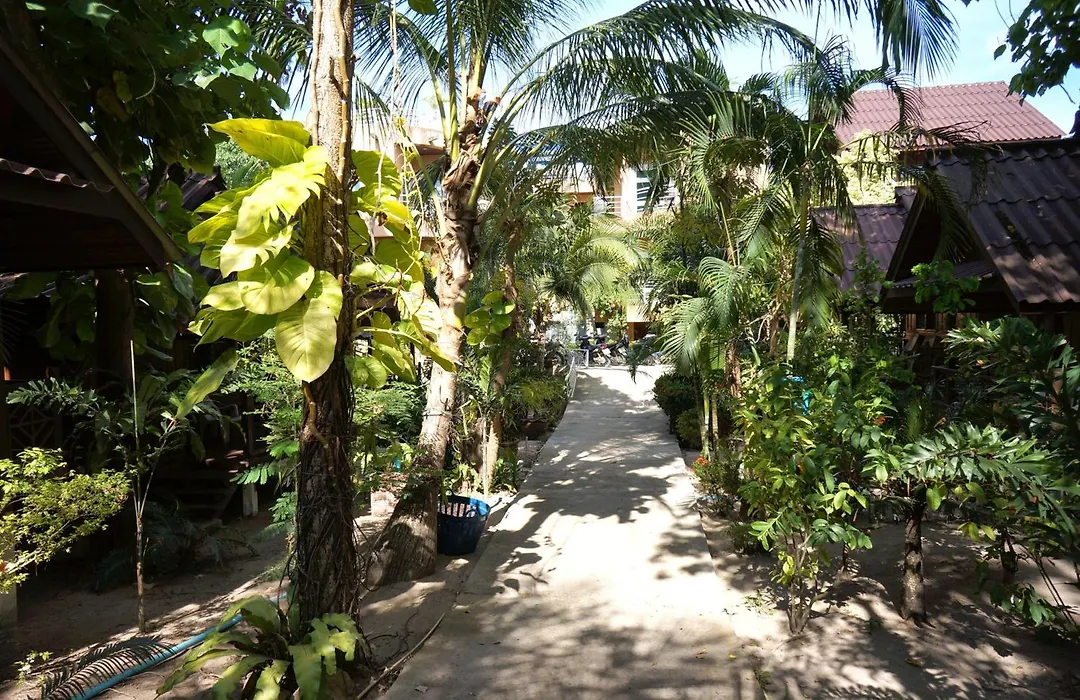 Silver Sands Resort - Koh Tao-1