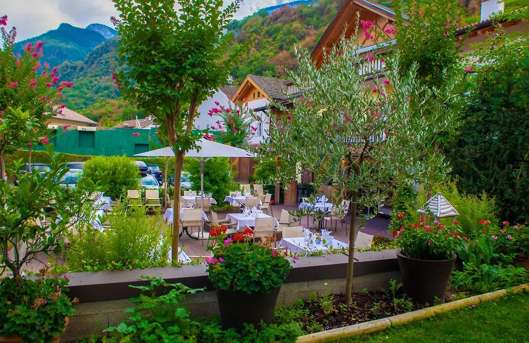 Hotel Mehrhauser-1