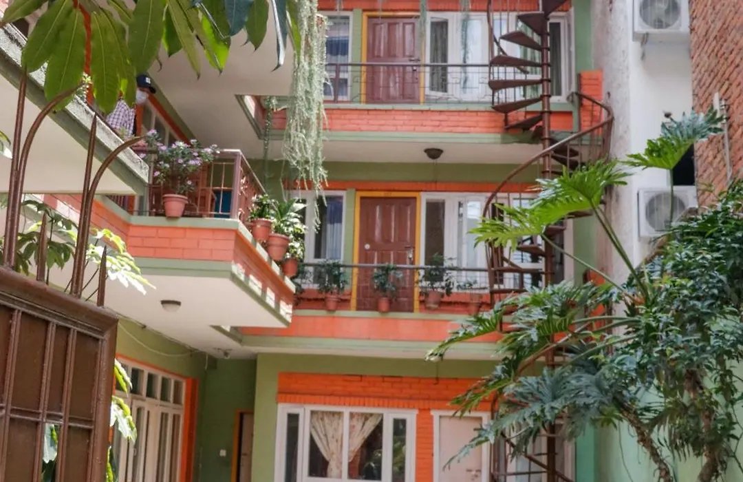 Hotel Backpackers Inn-1