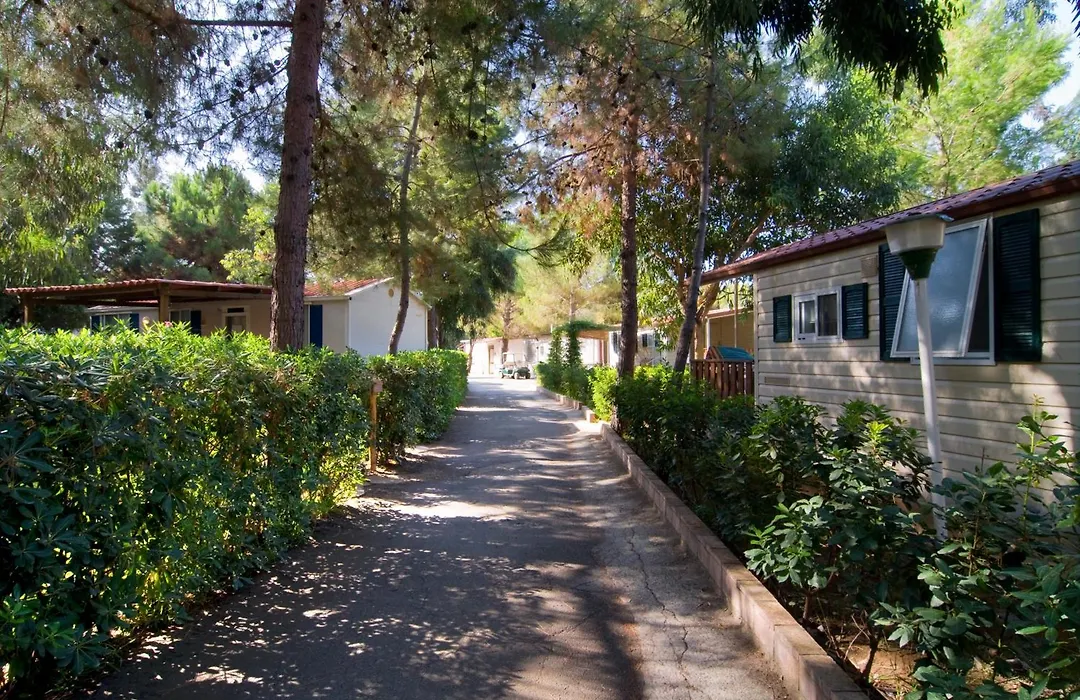 Villaggio Camping Odissea-1