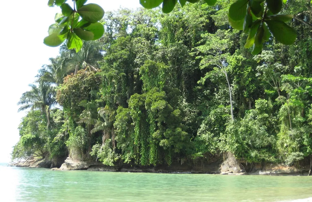 El Tucan Jungle Lodge-1