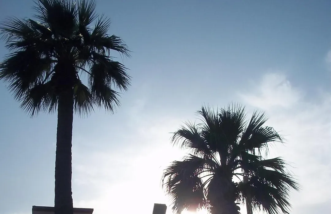 Whispering Palms Inn-1