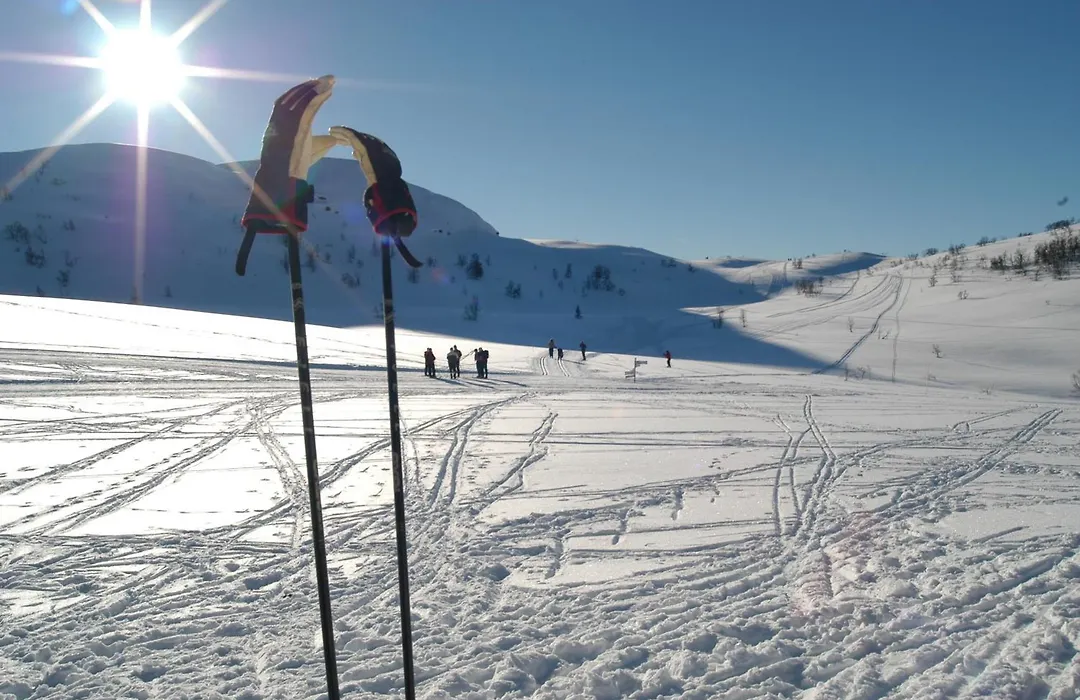 Rauland Hogfjellshotell-1