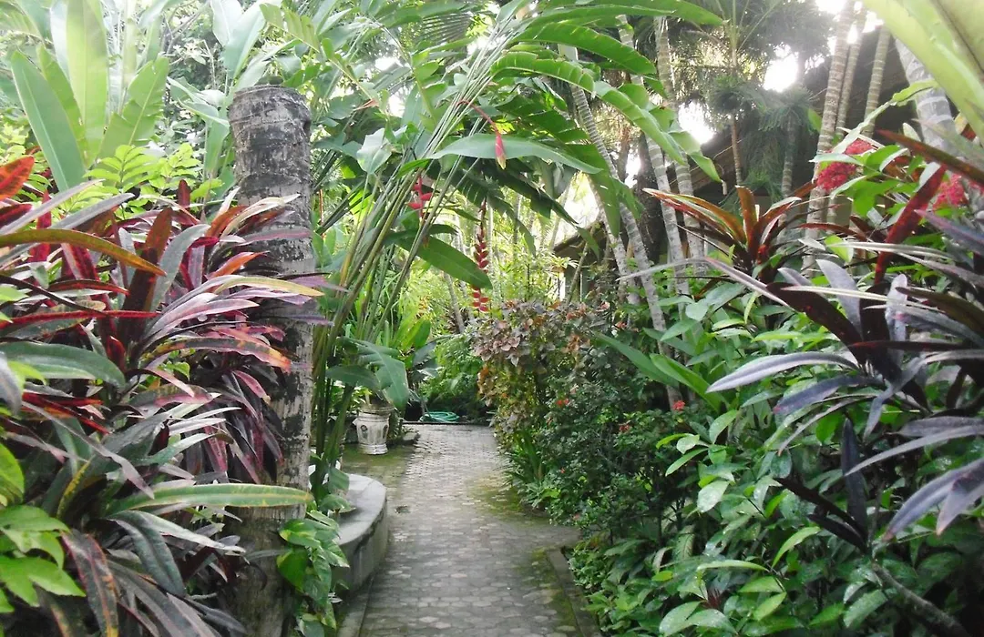 Adus Beach Inn-1