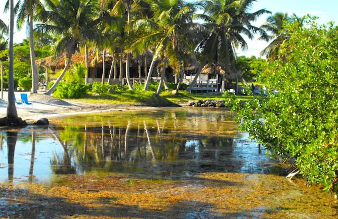 Costa De Cocos-1