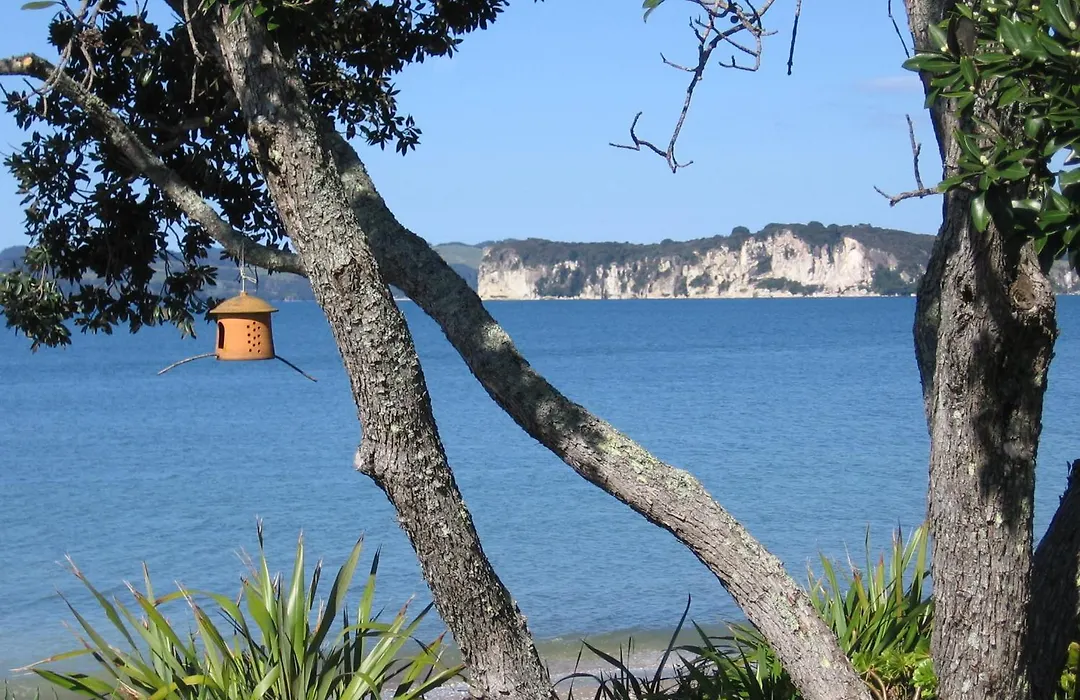 Beachfront Resort-1