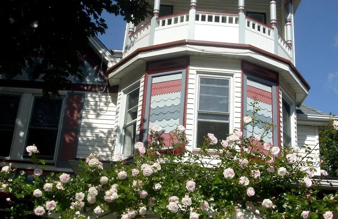 Bondy House Bed & Breakfast-1