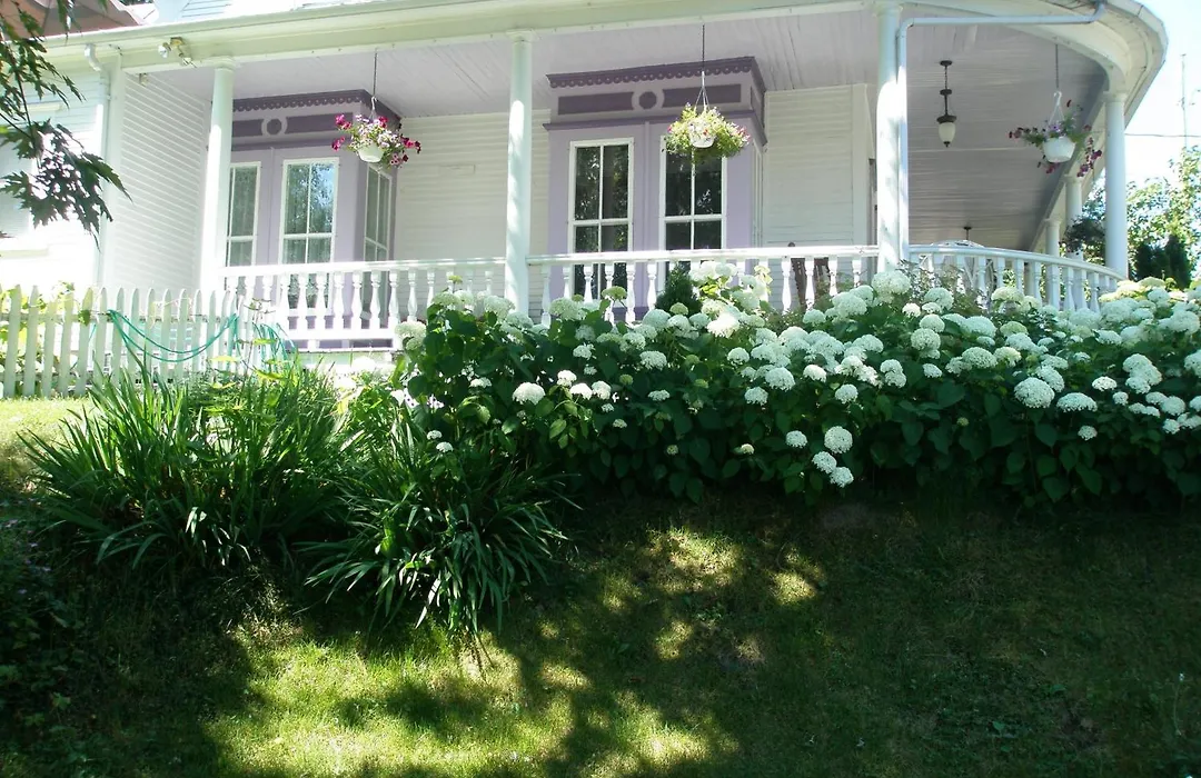 O Bois Dormant B&B-1