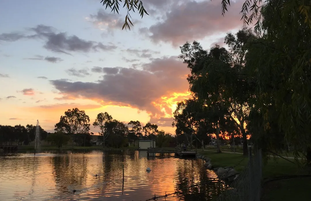 Junee Tourist Park-1