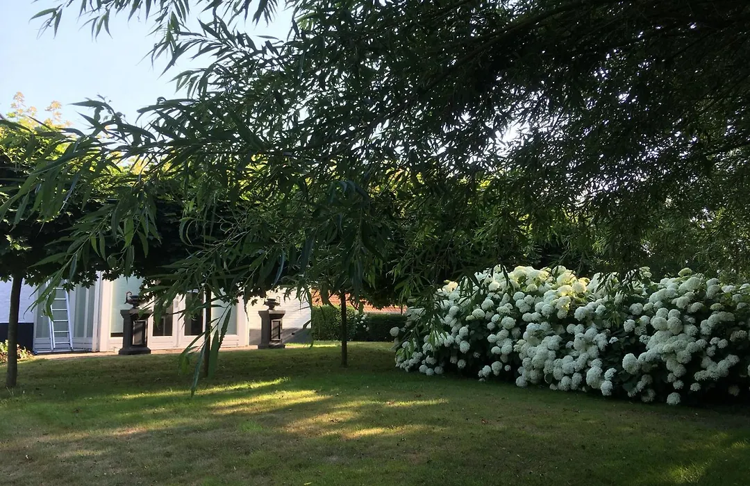 B&B De Tol-1