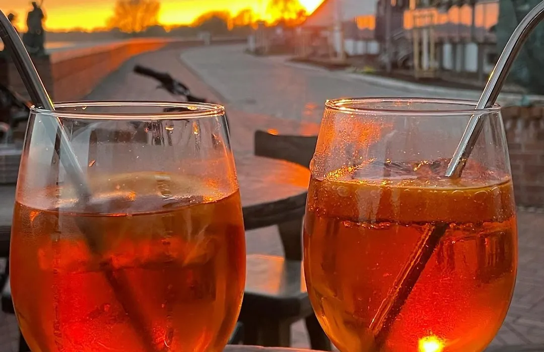 Pension zum goldenen Anker direkt an der Elbe-1