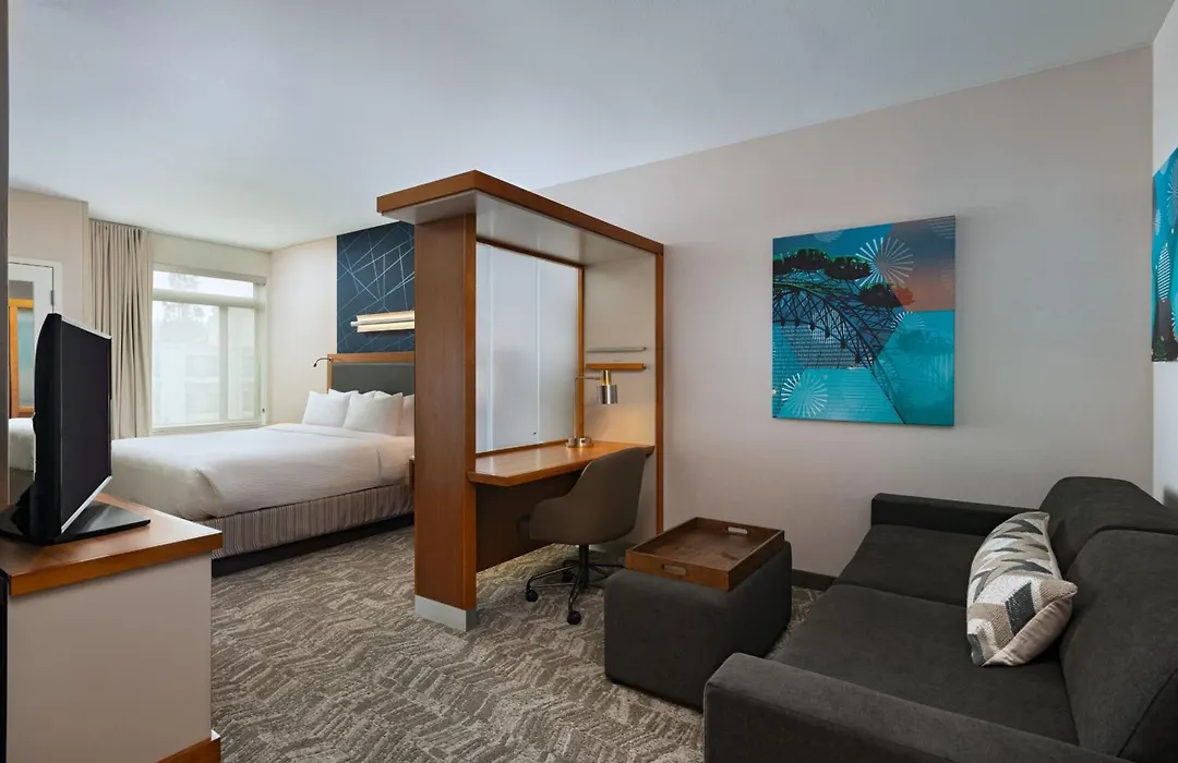 Springhill Suites By Marriott Anaheim Maingate-1