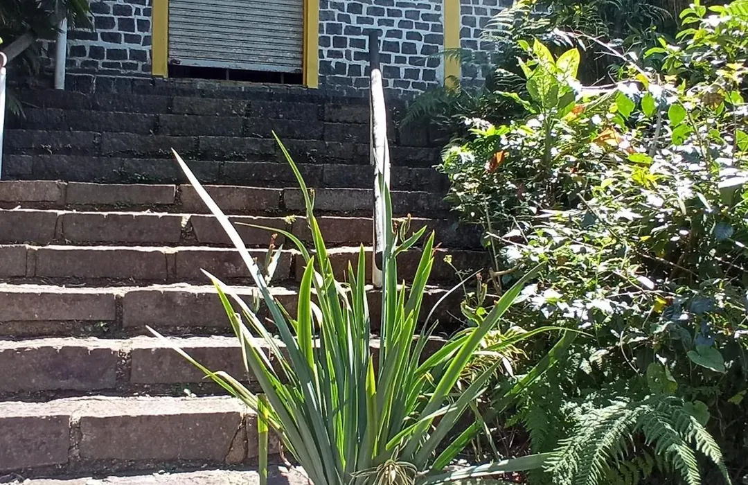 Recanto Da Floresta Suites-1