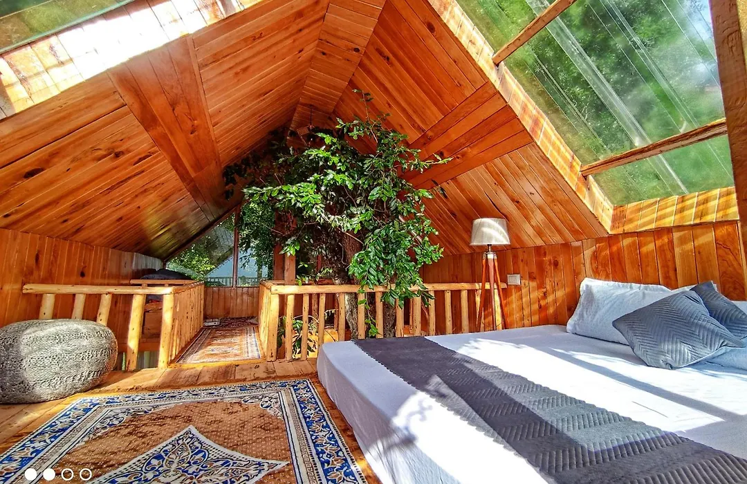The Tree Top Treehouse Jibhi-1