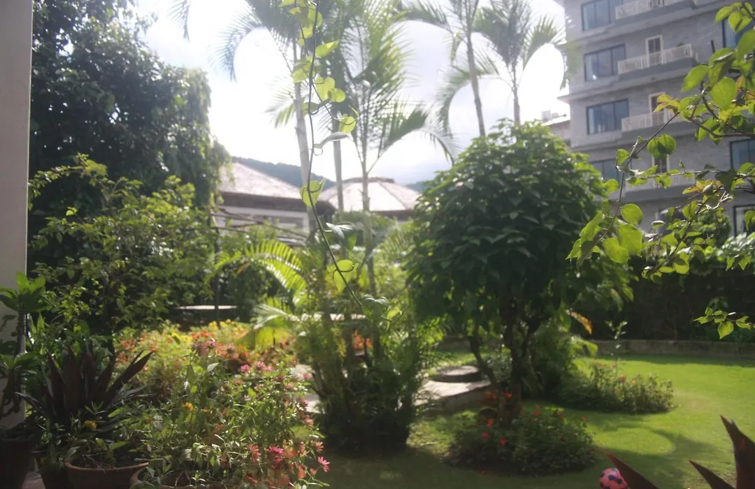 Vagabond Guest House-1