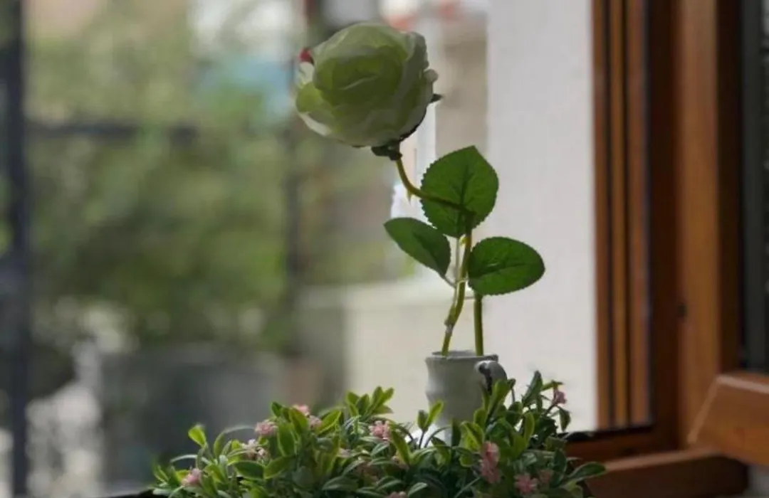 Villa For You-1
