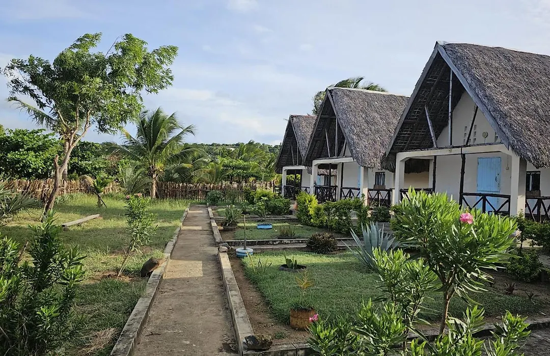Sanjeela-Plage Coco-1