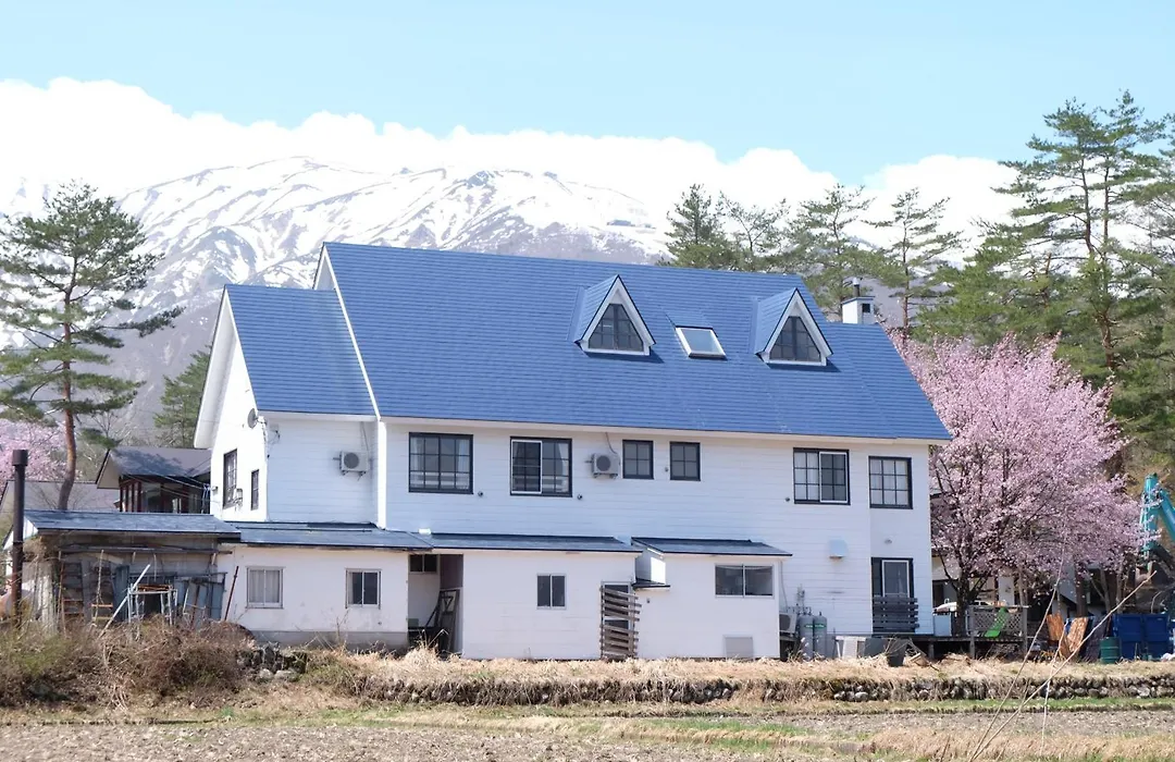Hakuba Snow Fox-1