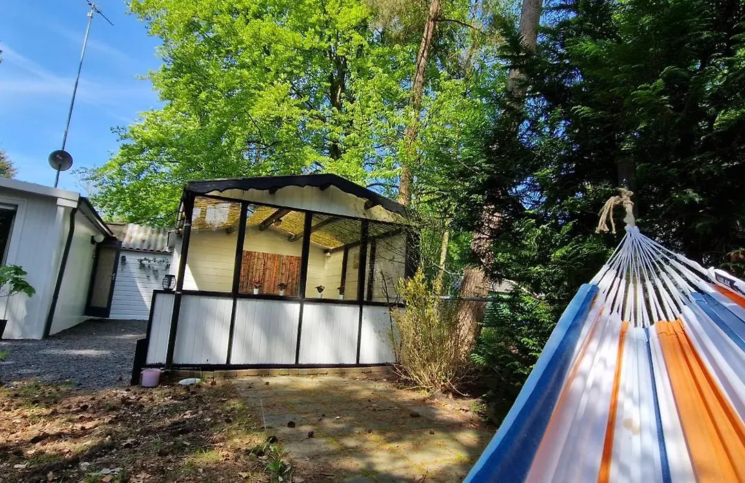 Dennenhuisje op bospark IJsselheide Hattemerbroek-1