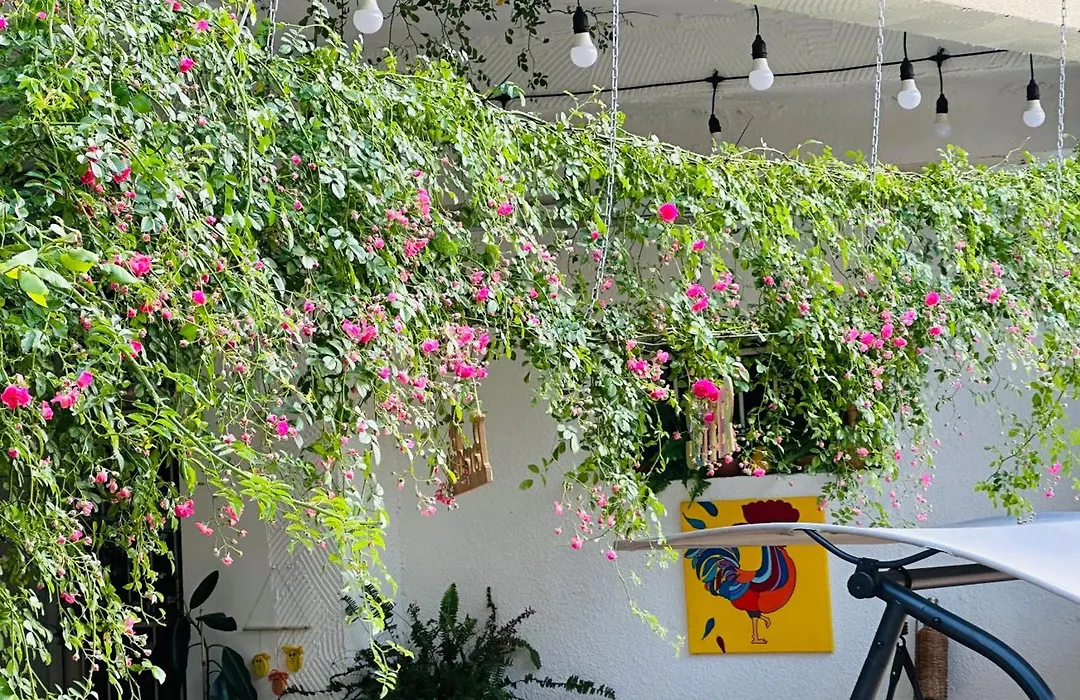 Hotel Tamar Mepe-1