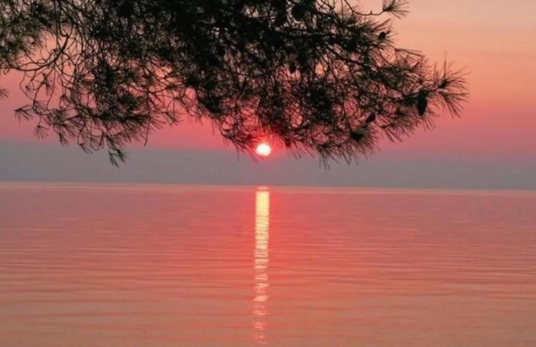 Siagas Beach Hotel-1