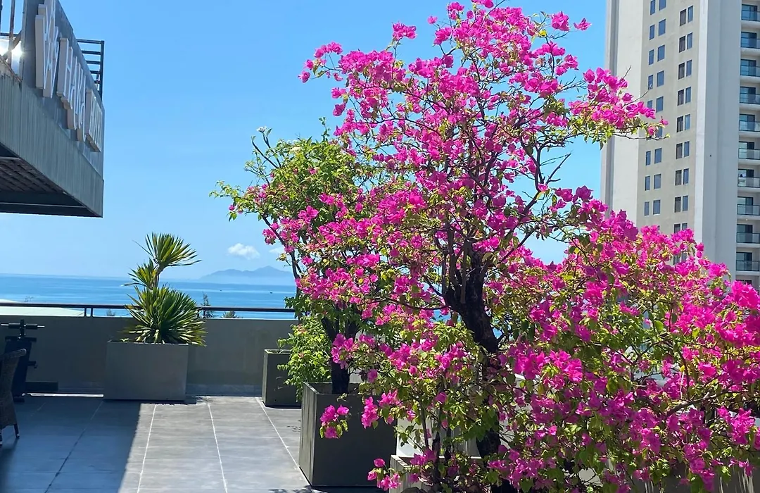 Haka Boutique Hotel-1