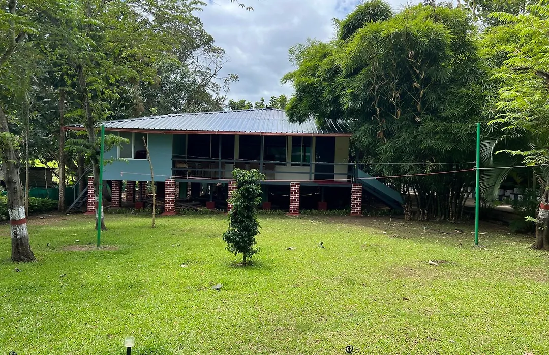 The Midway Jungle Resort-1