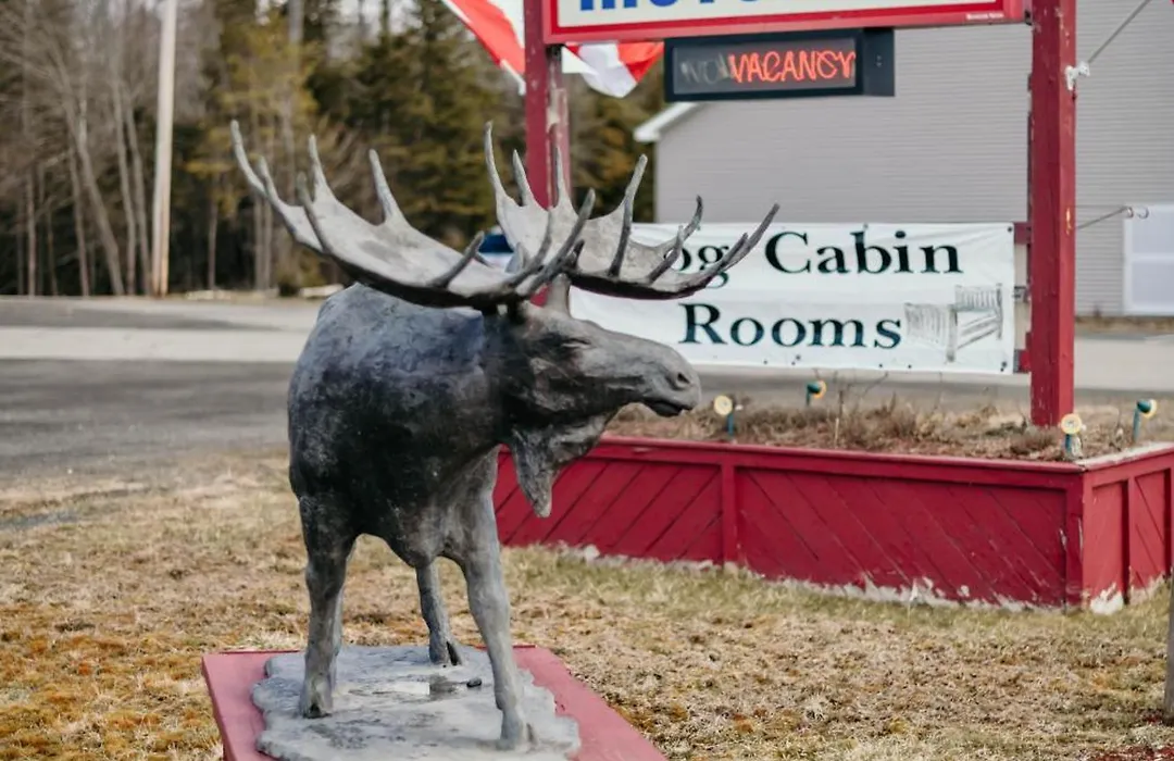 Briarwood Motor Inn-1