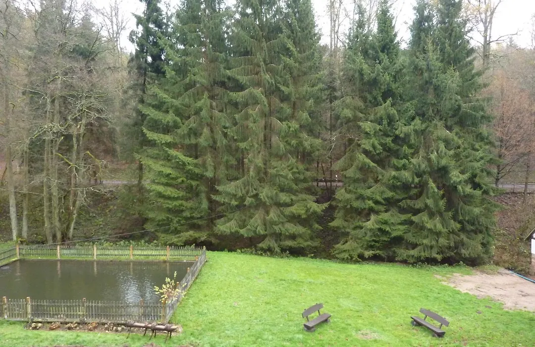 Hof Guttels Waldgasthof Ferienpension-1