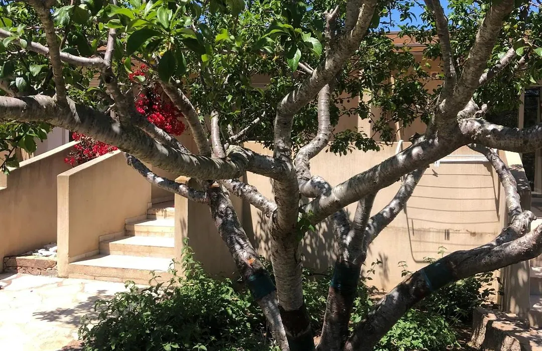 Les Jardins De Santa Giulia - Charmante chambre d'hôte-1