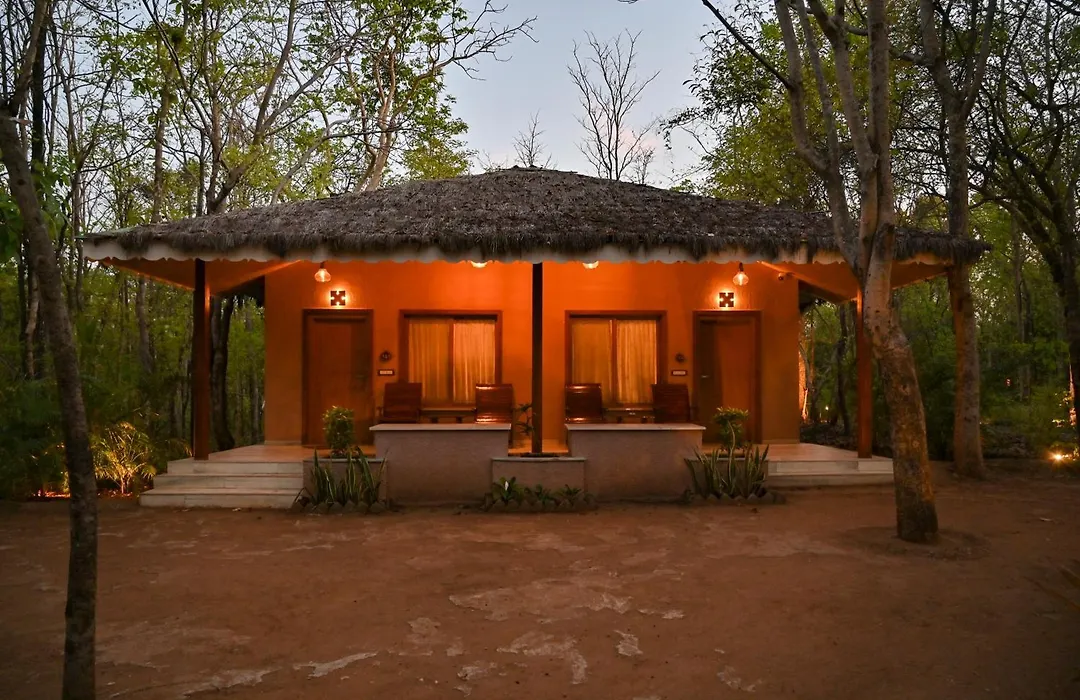 Saj In The Forest, Pench-1