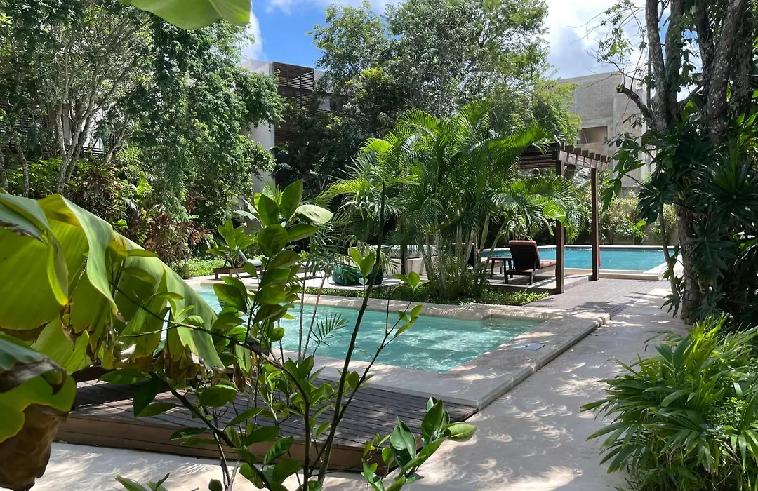 Panacea Condo Tulum-1
