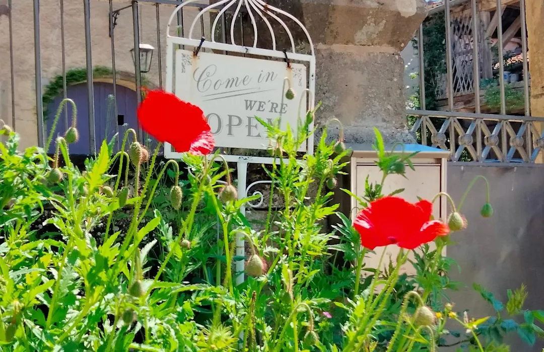 Gite La Belle Rose-1